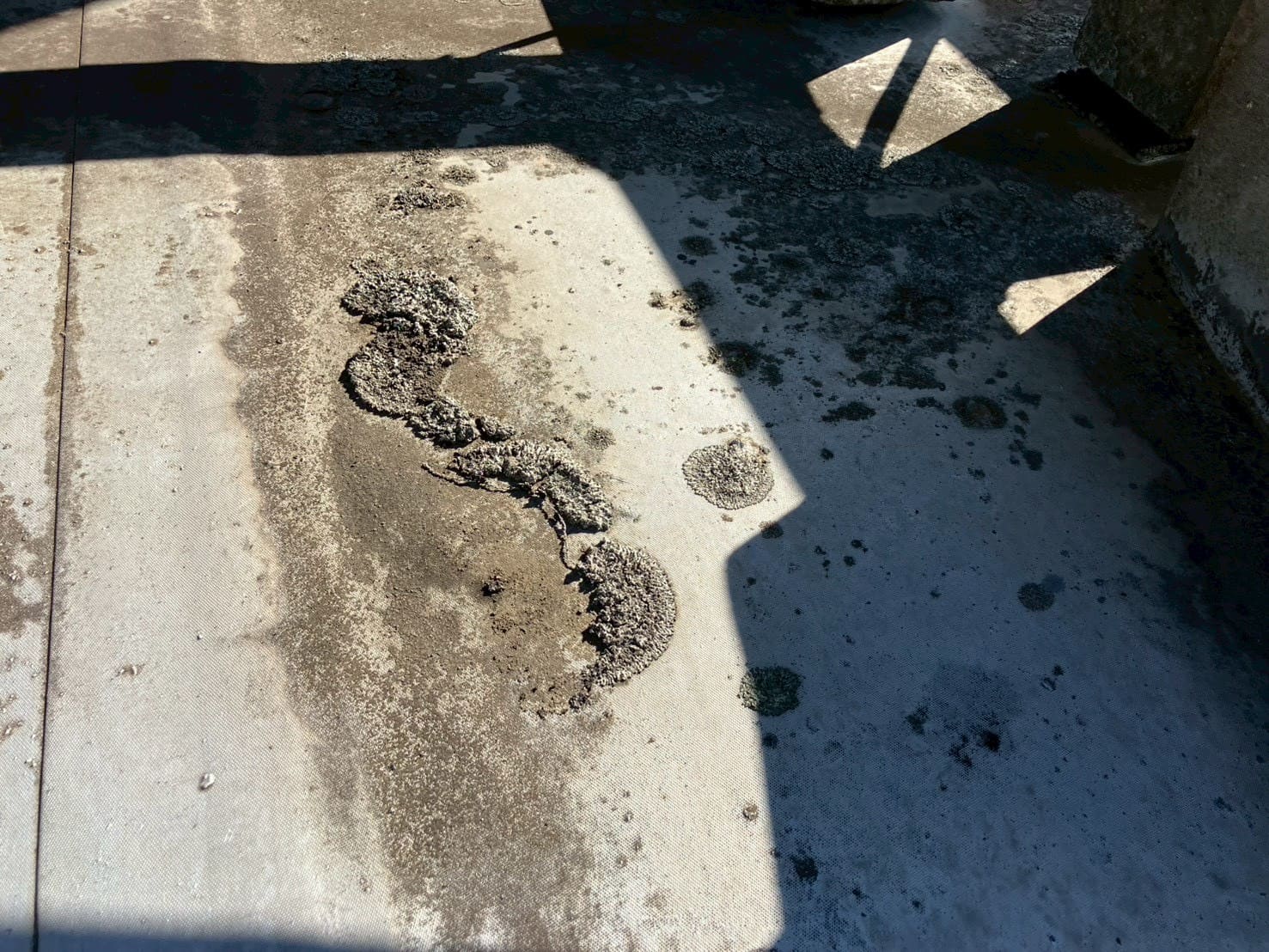 RC造3階建の屋上防水と外壁の劣化を調査